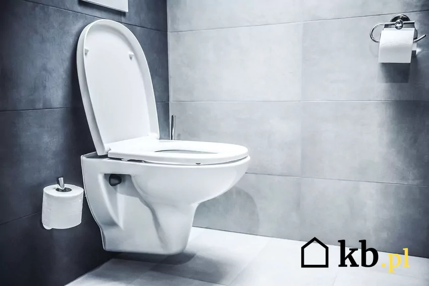 WC kompakt ze zbiornikiem wewnętrznym