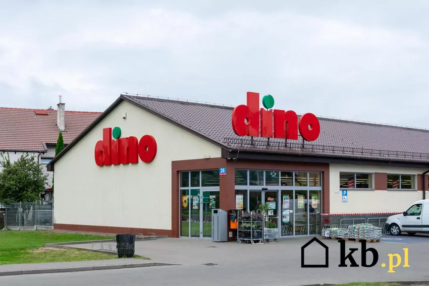Dino