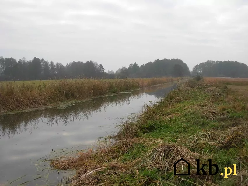 Niedaleko pałacyku znajduje się rezerwat Dziki Ostrów rezerwat przyrody Dziki Ostrów