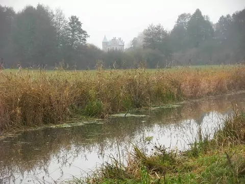 Pałac w Mochyłku na sprzedaż