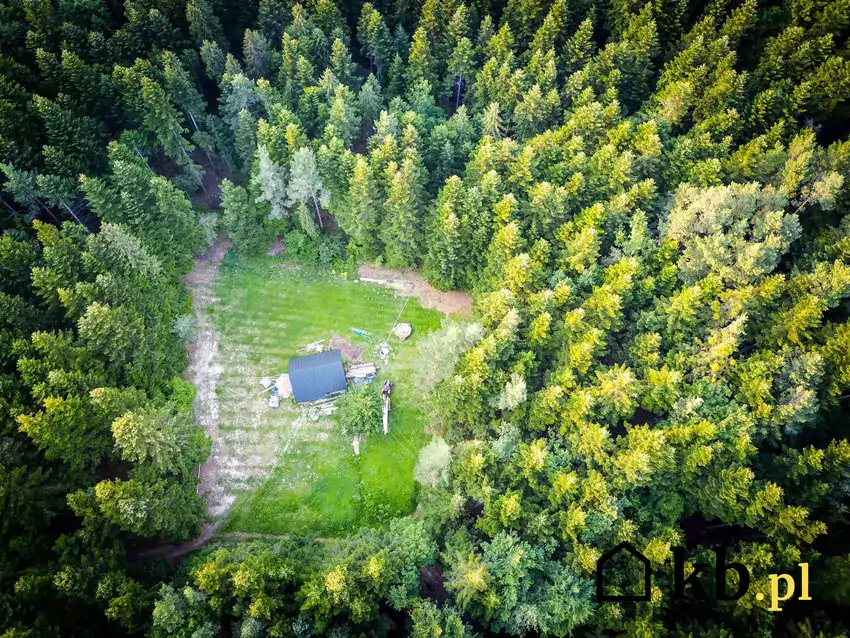 Dom w środku prywatnego lasu