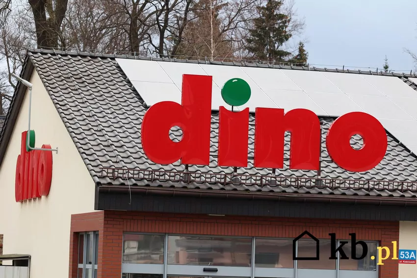 W nowej gazetce Dino dużo ciekawych promocji Dino