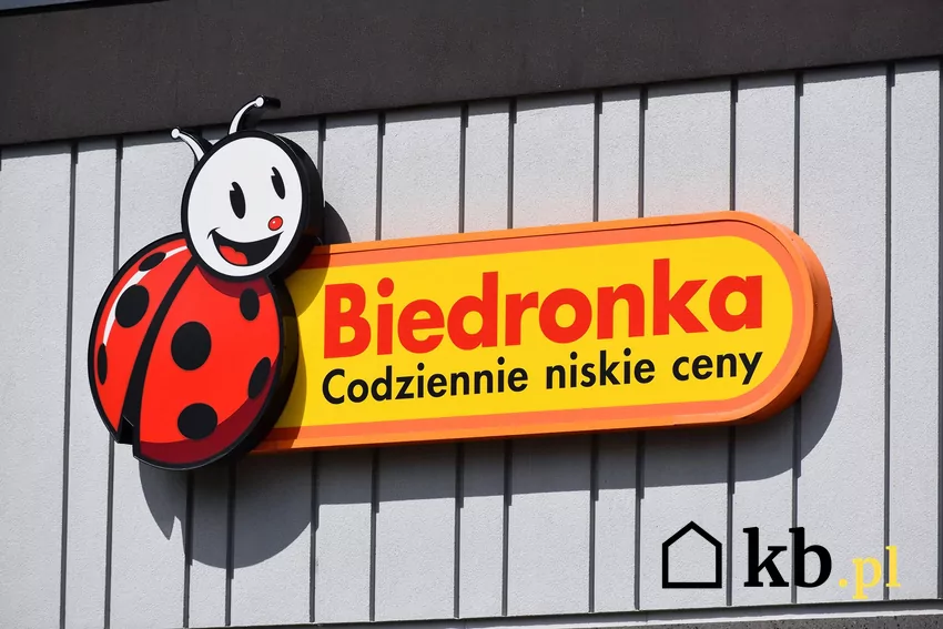 Nowe promocje w Biedronce od 19.10 Biedronka