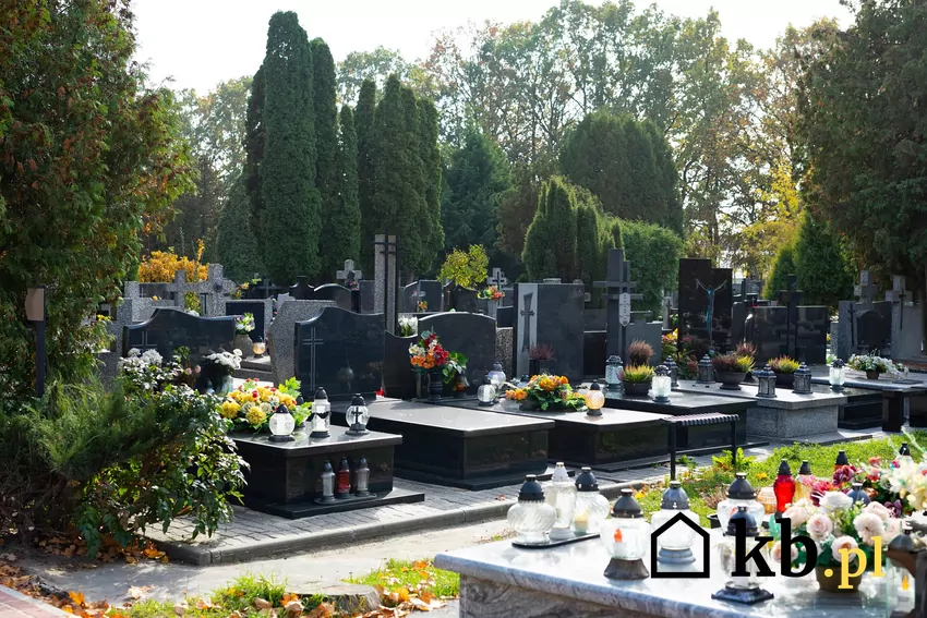 Na cmentarzach komunalnych w Polsce obowiązują cenniki obejmujące opłaty za pochówek i dodatkowe usługi, których zgodność z prawem coraz częściej jest kwestionowana. cmentarz