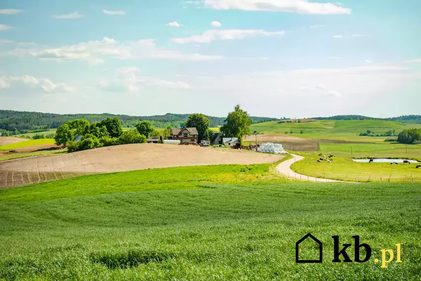 działka przeznaczona do odrolnienia