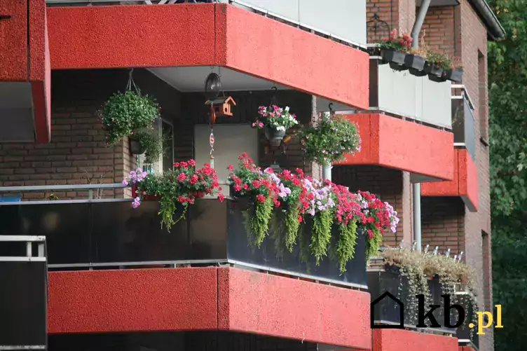 Ilustracja kwiaty na balkon