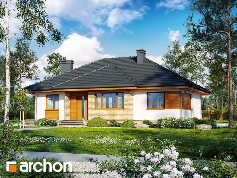 Projekt domu w akebiach