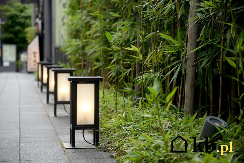 Lampy z czujnikiem ruchu w ogrodzie, a także różne rodzaje lamp z czujnikiem ruchu, najlepsze propozycje do domu i ogrodu