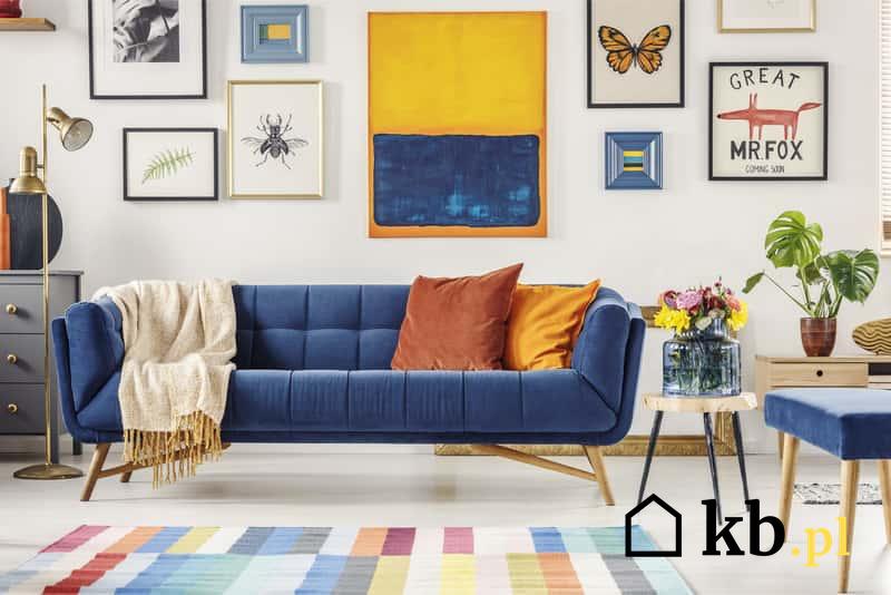 Kolorowy dywan bawełniany w salonie, a także dywany bawełniane i ich producenci, oferta, ceny oraz przegląd