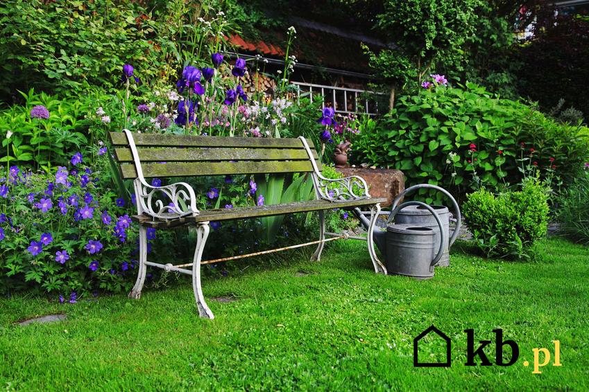 Metalowa ławka ogrodowa z drewnianym siedziskiem jako inspiracja na ławki ogrodowe do ogródka i ich ceny