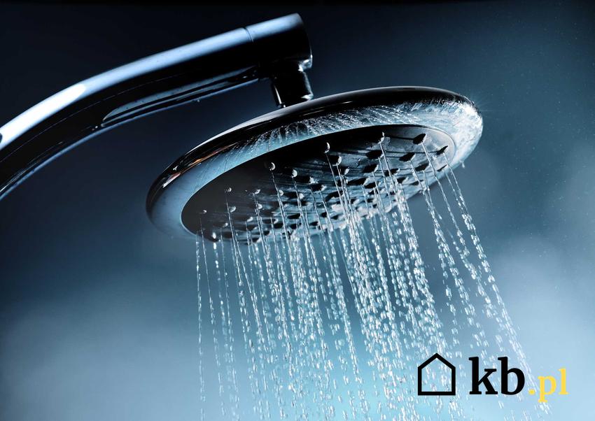 Woda płynąca ze słuchawki prysznicowej. Podgrzewacze wody Kospel, które warto wziąć pod uwagę, ceny i zastosowanie