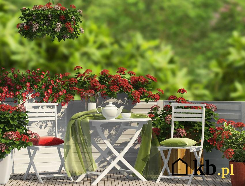 Meble balkonowe i meble ogrodowe Jysk białe z zielonymi dodatkami, a także najpiękniejsze modele oraz oferta sklepu i ceny