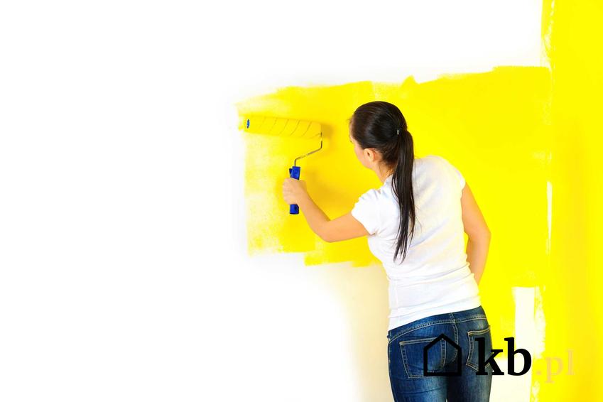 Kobieta podczas malowania ściany wałkiem na żółto, farba satynowa do ścian, jej ceny oraz opinie na jej temat