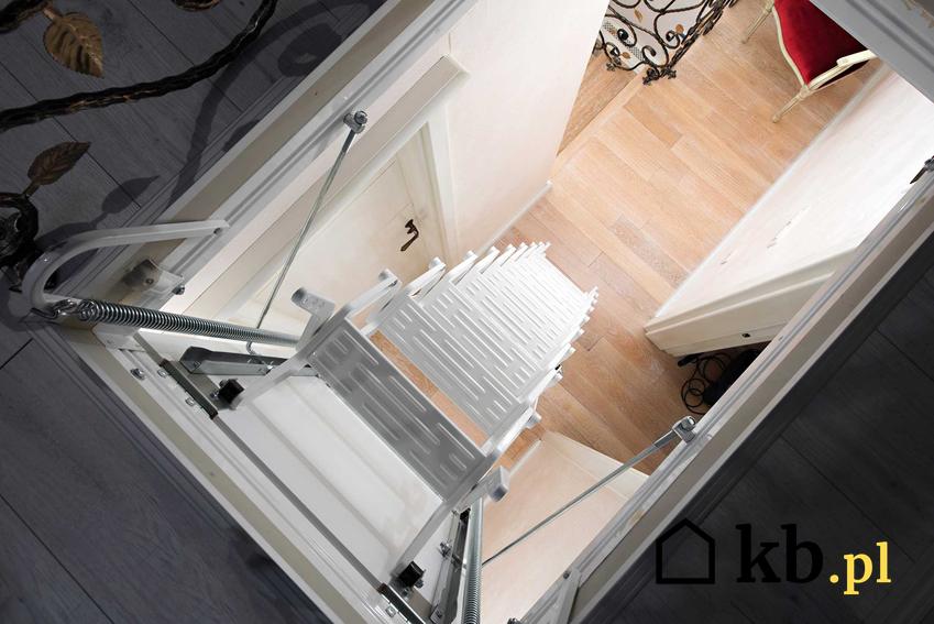 Proste schody młynarskie zamontowane w wyłazie oraz opinie na ich temat i porady dotyczące wyboru najlepszych schodów
