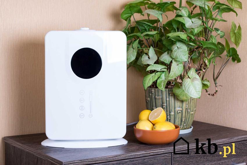 Oczyszczacz powietrza do mieszkania czy też filtr powietrza do domu oraz polecane domowe oczyszczacze powietrza