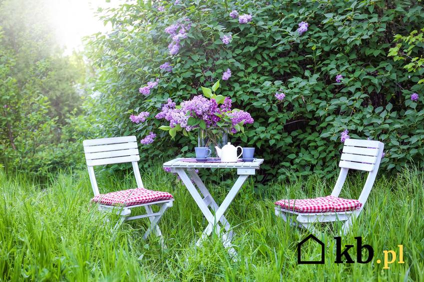 Krzesła ogrodowe w plenerze oraz polecane plastikowe krzesła ogrodowe i fotele ogrodowe, a także rodzaje oraz ceny krzeseł ogrodowych