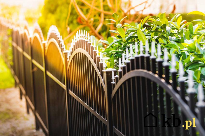 Metalowe ogrodzenie posesji oraz metalowe przęsła ogrodzeniowe i elementy ogrodzeniowe z metalu, a także rodzaje oraz ceny ogrodzenia metalowego