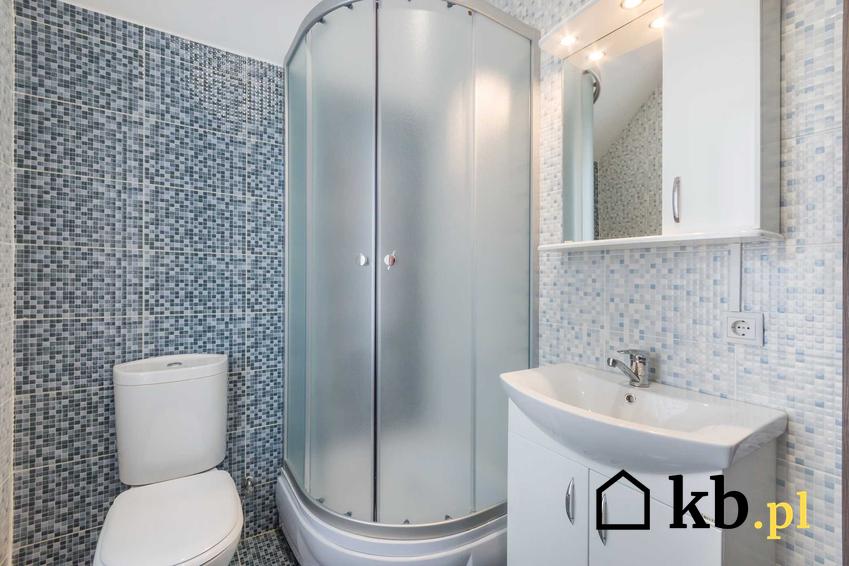 Drzwi prysznicowe w kabinie prysznicowej w nowoczesnej łazience, a także rodzaje drzwi prysznicowych i ich ceny