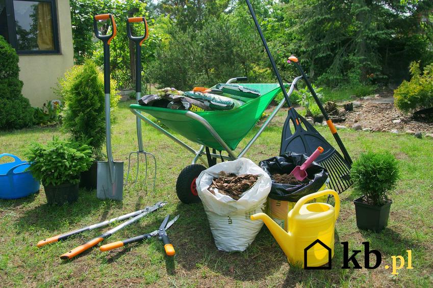 Sprzęt ogrodniczy w ogrodzie oraz jak działają wypożyczalnie sprzętu ogrodniczego oraz koszty wypożyczenia