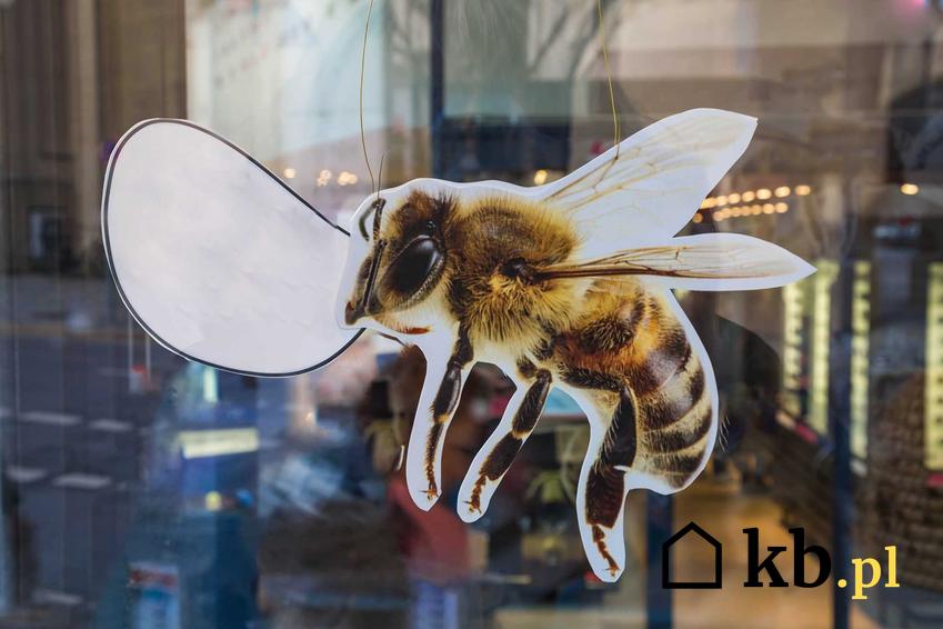 Naklejki na szyby z motywem pszczoły oraz naklejki ozdobne na szkło, a także polecane naklejki dekoracyjne