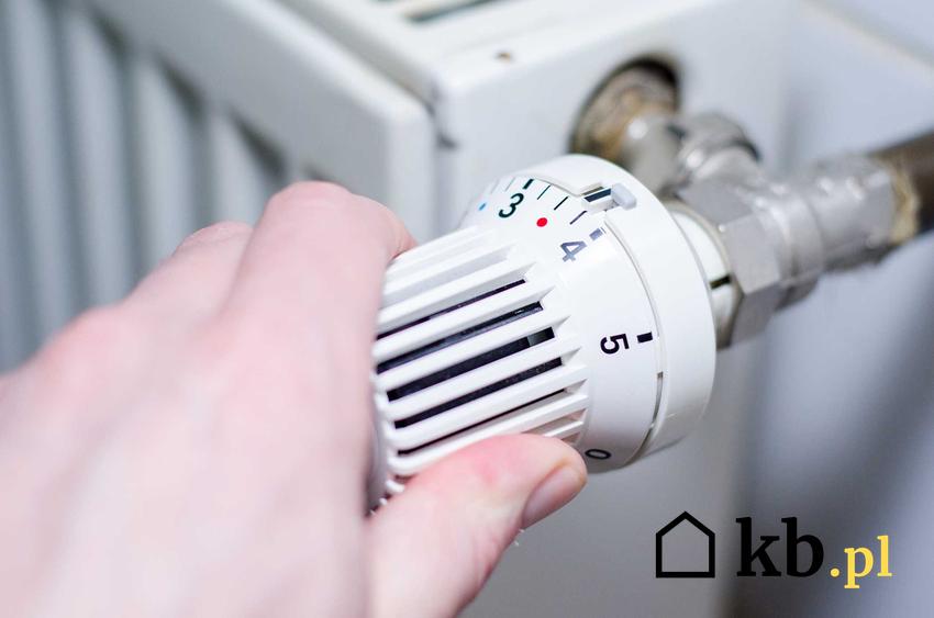 Głowica termostatyczna, czyli grzejnikowa głowica termostatyczna i jej rodzaje, a także ceny oraz producenci i modele