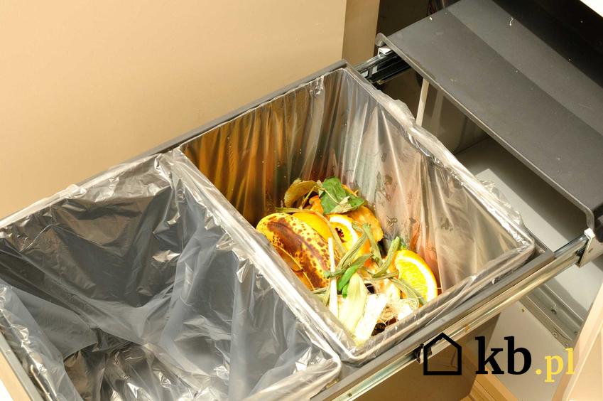 Kosz do segregacji śmieci w szafce w kuchni, a także kosze na śmieci i ich rodzaje oraz ranking producentów krok po kroku