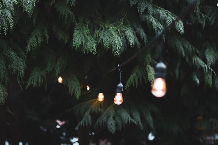 Lampy ogrodowe – cała prawda o Twoim oświetleniu zewnętrznym