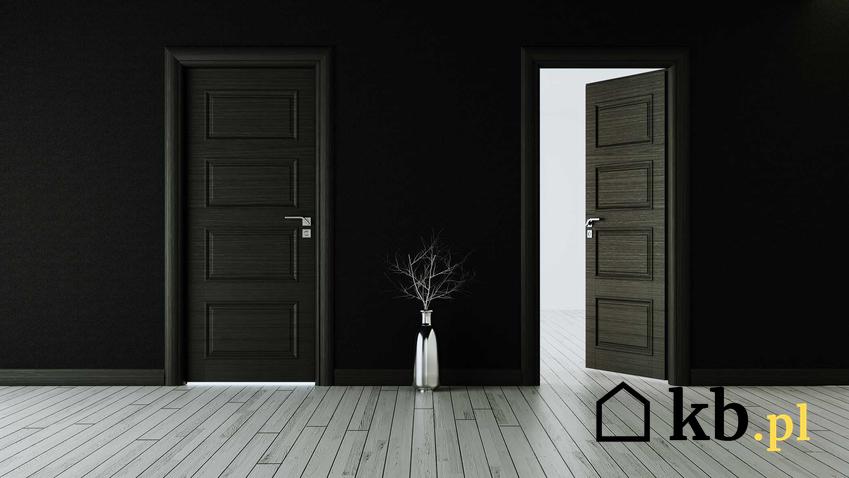 Drzwi Gerda w czarnej ścianie, a także jaka jest cena drzwi Gerda różnych rodzajów, ile kosztują drzwi Gerda