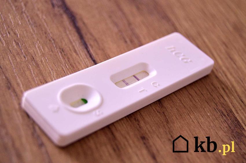 Test ciążowy z dwoma różowymi kreskami, a także informacje o cenie testu ciążowego w aptece