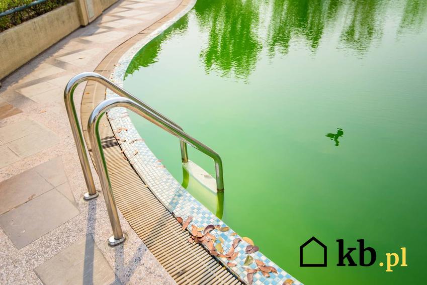 Basen z zieloną wodą, glony w basenie ogrodowym, klarowanie basenu przy pomocy chloru, czy można kąpać się w basenie z zieloną wodą