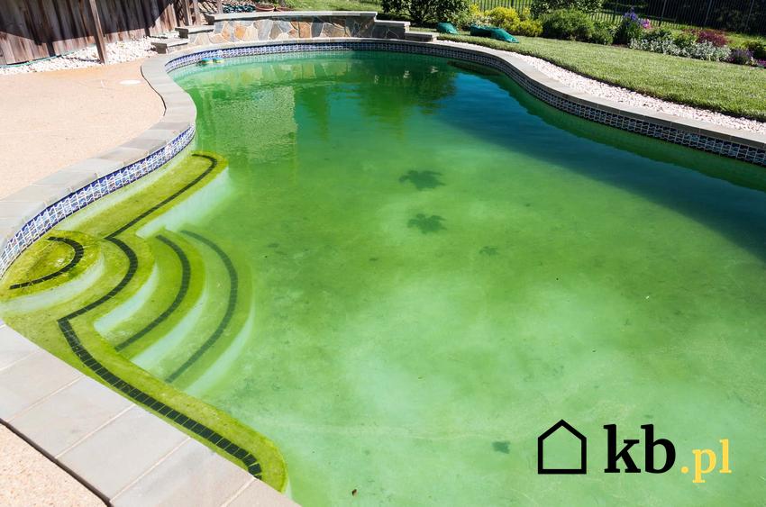 Zielonkawa woda w basenie ogrodowym, zanieczyszczona woda w basenie, jak oczyścić basen z żelaza