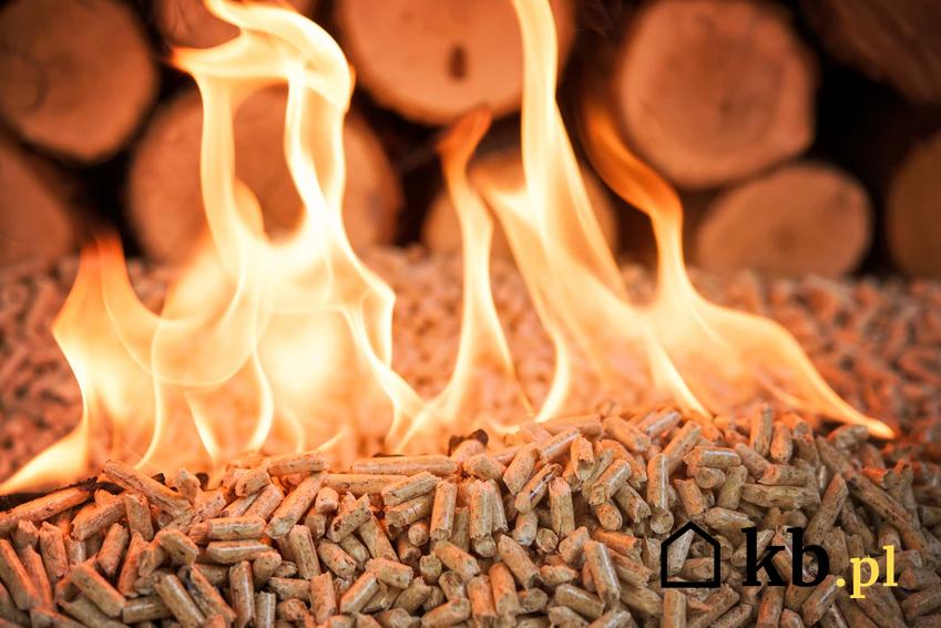 Palący się pellet na tle drewna, jak obliczyć zużycie pelletu, jakie wartości trzeba wziąć pod uwagę, aby obliczyć zużycie pelletu