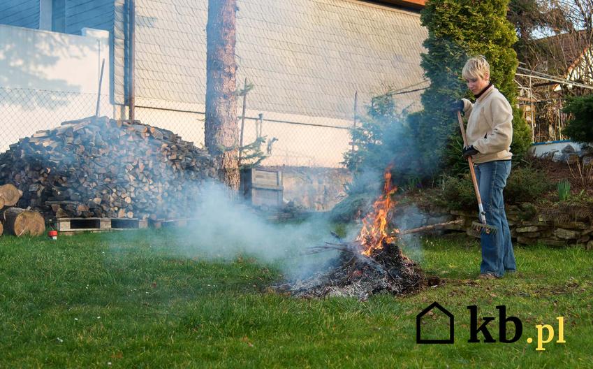 Palenie ogniska na działce ROD, a także ognisko we własnym ogródku oraz przepisy dotyczące palenia ogniska