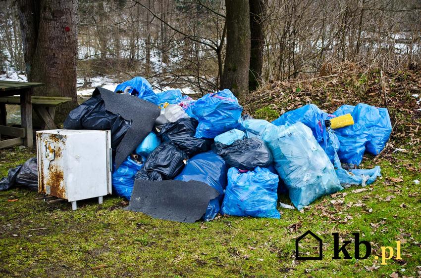 Śmieci i gabaryty wyrzucone do lasu, a także informacje, czego nie wolno robić w lesie, a co wolno