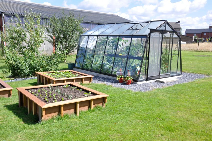 Zaopatrz swój ogród w piękną i przestronną szklarnię ogrodową ze szkła hartowanego