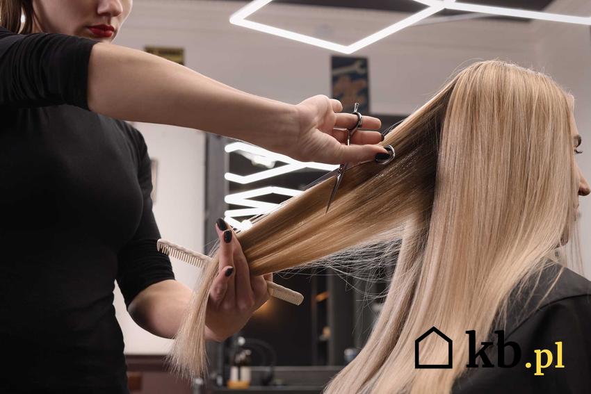 Obciananie włosów przed oddaniem na perukę, a także ile kosztują włosy i cennik skupu włosów, jakie ceny osiąga kilogram włosów