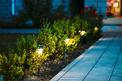 Oświetlenie ogrodu - rodzaje lamp zewnętrznych, ceny, opinie, porady
