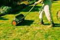 Nawożenie trawnika krok po kroku – polecane nawozy, terminy, porady