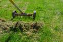 Mech na trawniku i na kostce brukowej – jak go usunąć? Poradnik