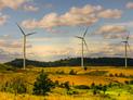 Energetyka wiatrowa - co warto wiedzieć o ekologicznej metodzie produkcji prądu?