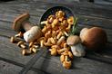 Cennik skupu grzybów - zobacz, ile możesz otrzymać za różne rodzaje grzybów