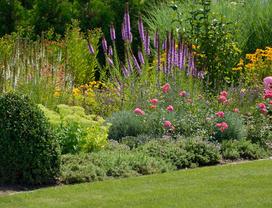 Najlepsze kwiaty ogrodowe dla Ciebie - co warto sadzić?