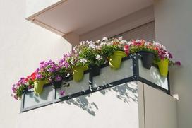 Jakie kwiaty na balkon wybrać?