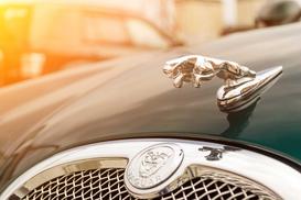 Ceny Jaguara - zobacz, ile kosztują różne modele samochodu