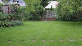 Zakładanie trawnika — postaw na trawnik, którego nie musisz nawozić
