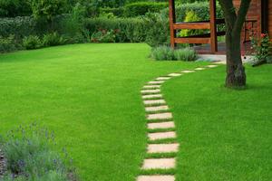 Wertykulacja trawnika i jego rekultywacja krok po kroku - poradnik praktyczny