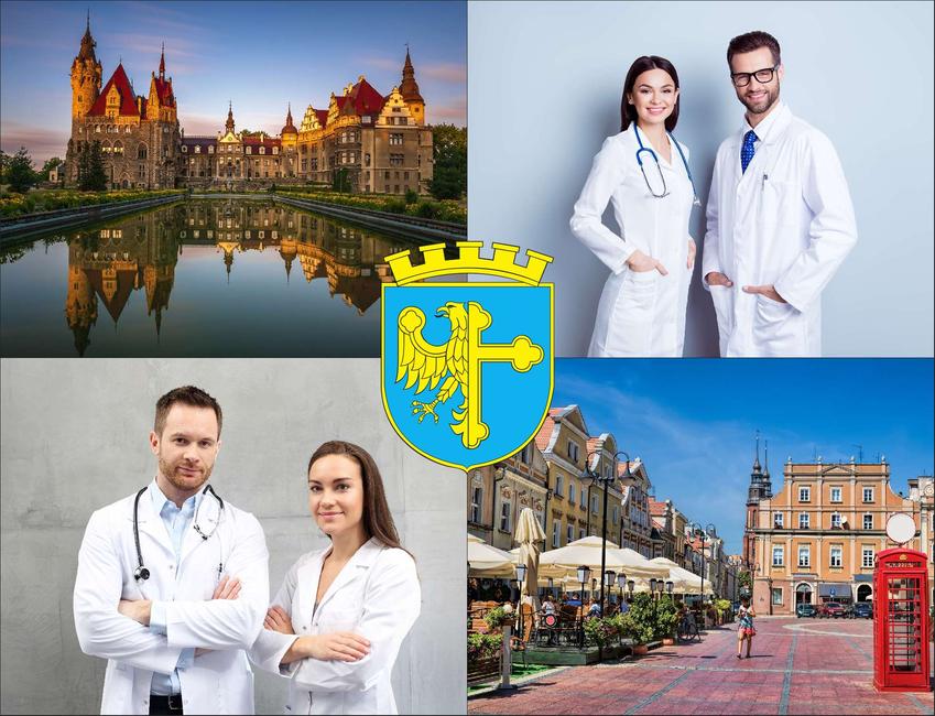 Opole - cennik wizyt u hematologa - sprawdź ceny w lokalnych poradniach hematologicznych