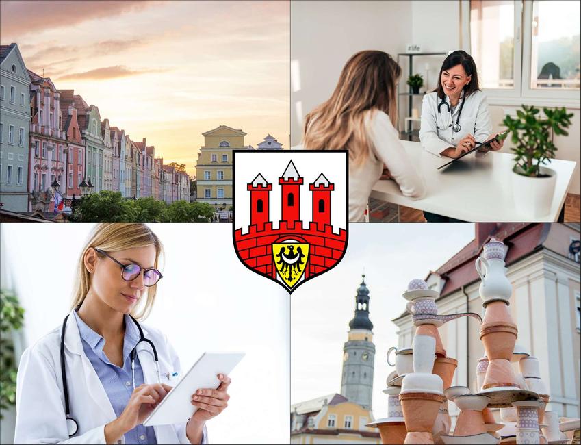 Bolesławiec - cennik prywatnych wizyt u immunologa - sprawdź lokalne ceny w poradniach immunologicznych