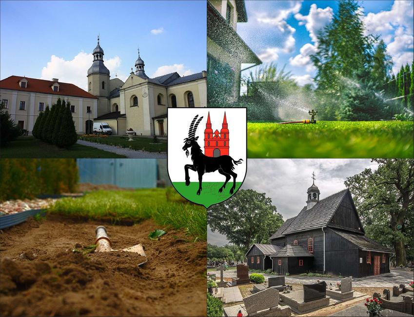 Wieruszów - cennik zakładania trawników - sprawdź lokalne ceny