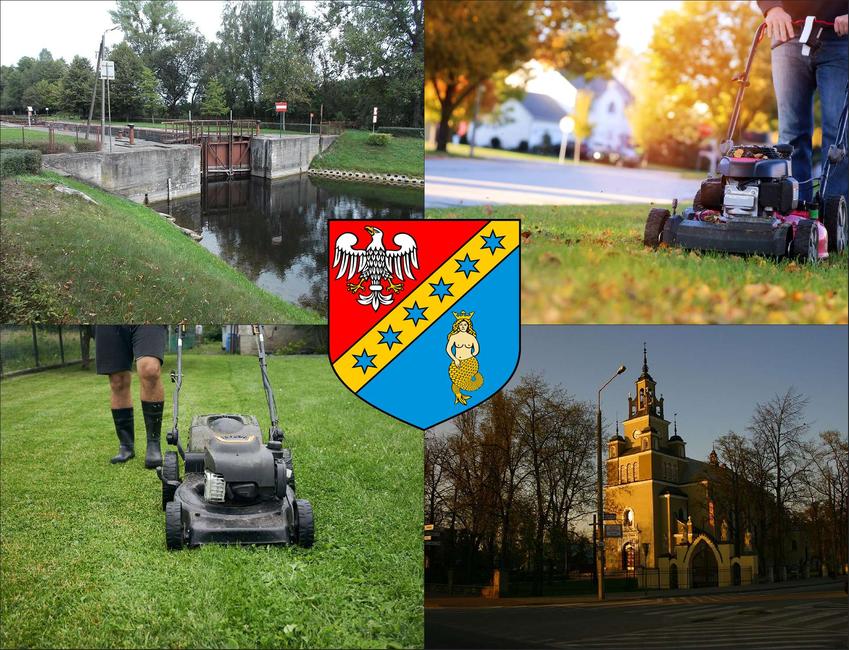 Białobrzegi - cennik koszenia trawy - sprawdź lokalne ceny pielęgnacji trawnika